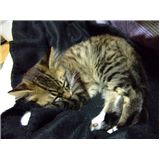 すんなり慣れてくれて良かったわ