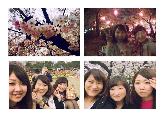 お花見2016.jpg