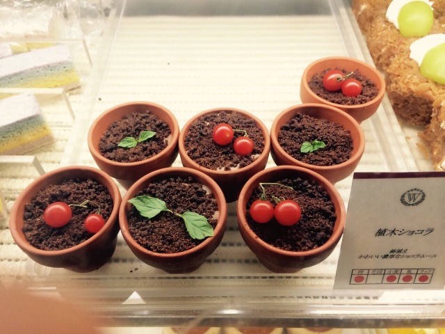 植木ショコラ2.jpg