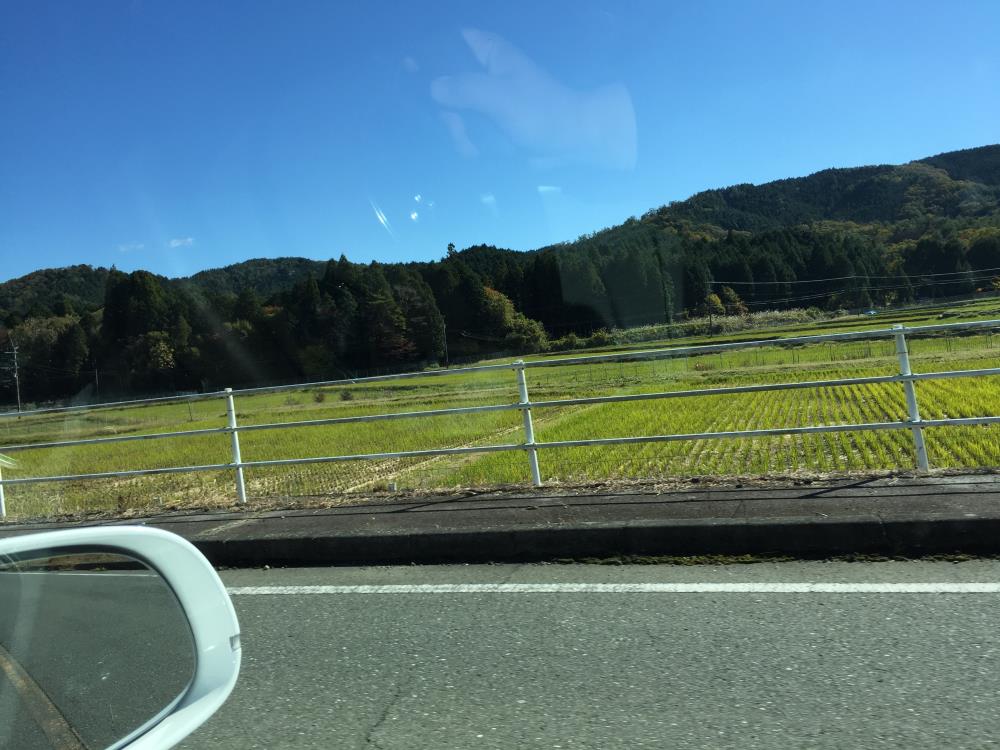 田んぼ-.jpg