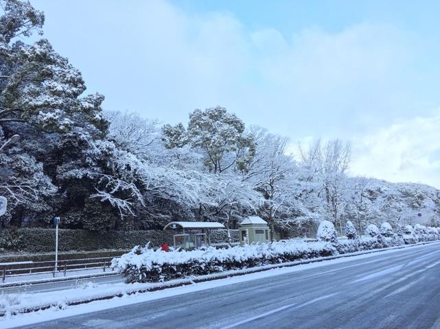 雪神宮前.jpg