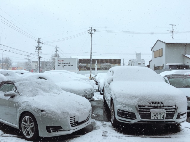 雪2017.2.jpg