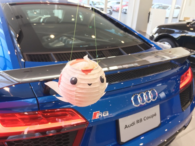 2017109R8.jpg