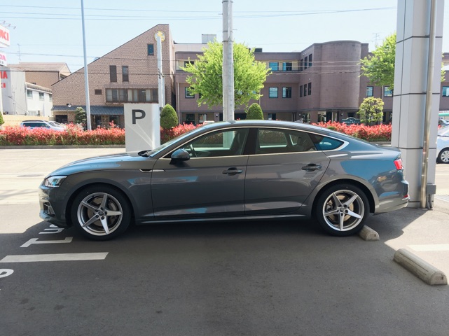 201754A54.jpg