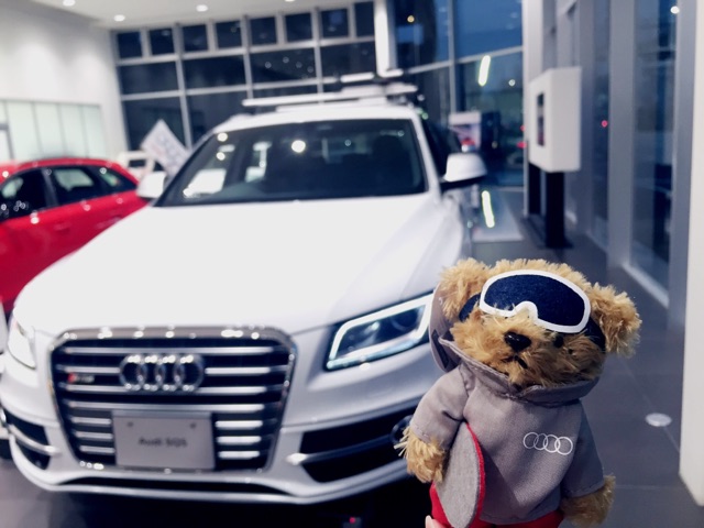 SQ5クマ2.jpg