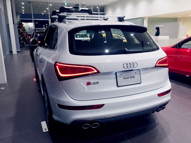 SQ5後ろ.jpg
