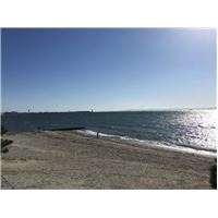 IMG_0710.jpg