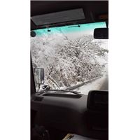 シャトルバスからの前景.jpg