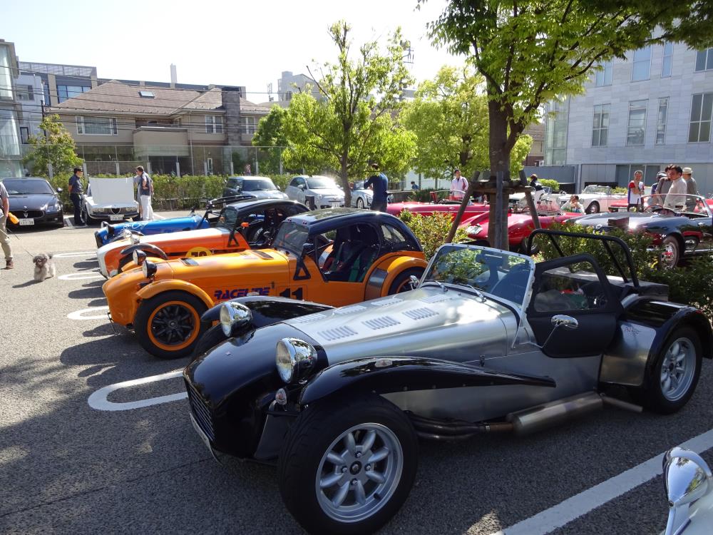 DSC00475.jpg