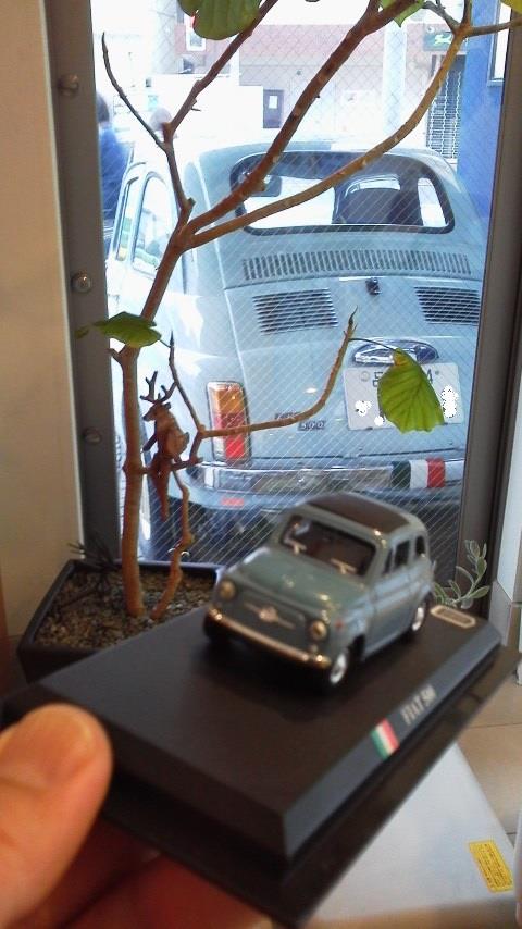 P1000531.jpg