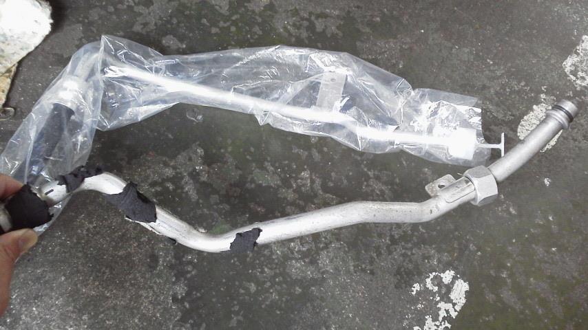 P1000690.jpg