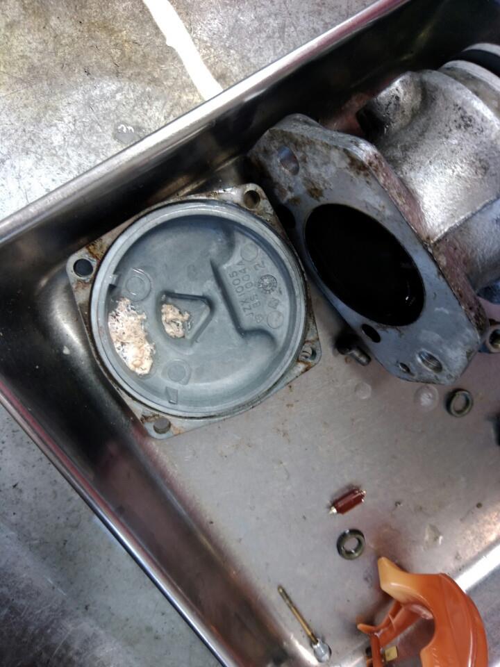 o0720096013920528105.jpg