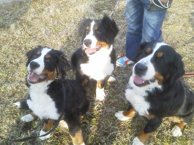 プロフィール2に写真を追加してください。