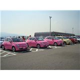 DSC05551.JPG