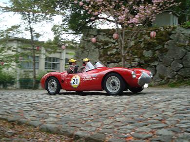 STANGUELLINI S 1100