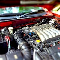 IMG_2298-tiltshift.jpg