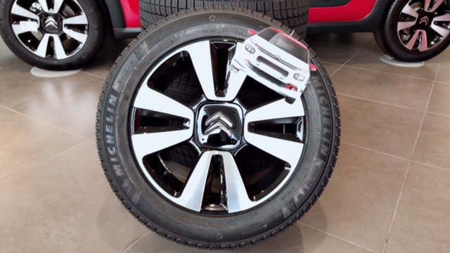 cd1_16835b13ea5.jpg