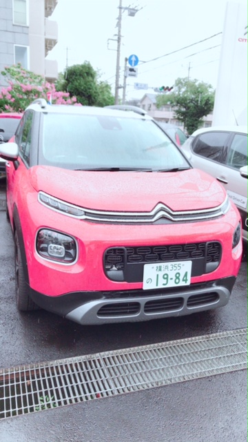 cd1_16cbcb10012.jpg