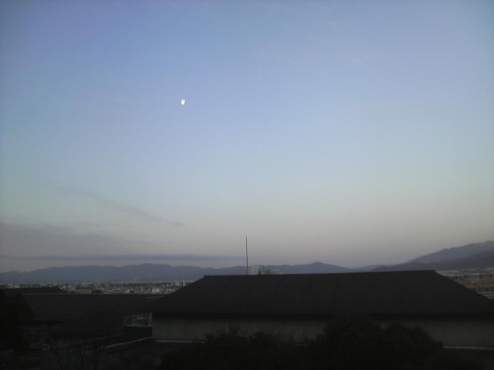 P1000920.jpg