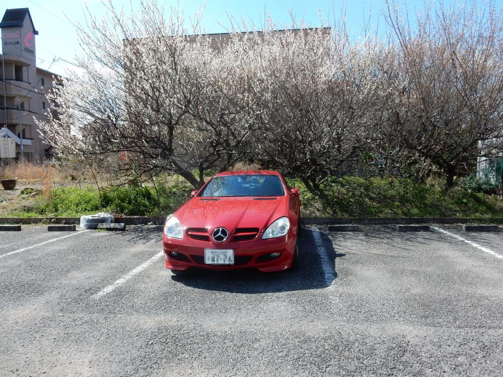 DSCN041722222.jpg