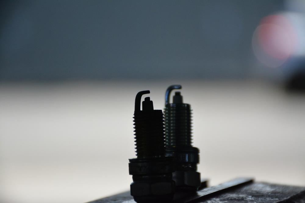 DSC_0674.jpg