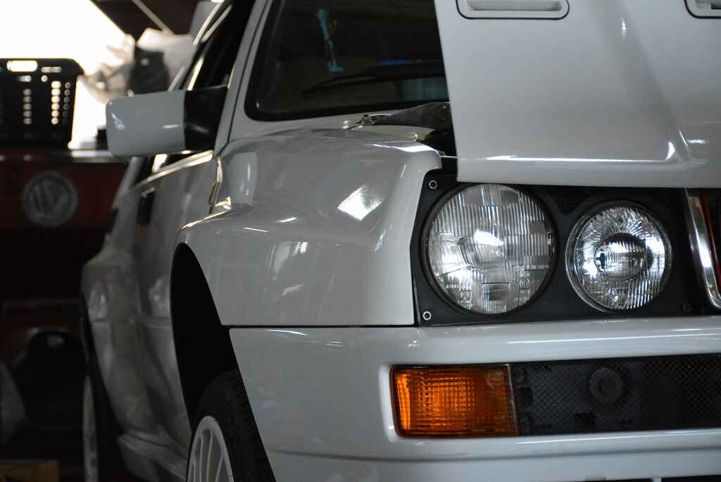 DSC_6993.jpg