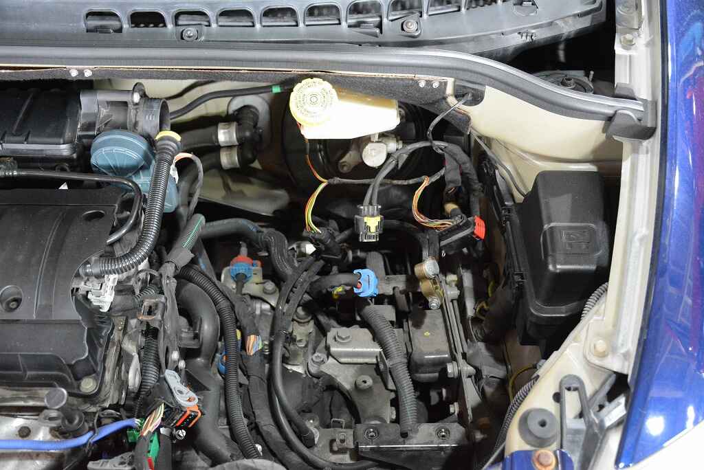 DSC_7745.jpg