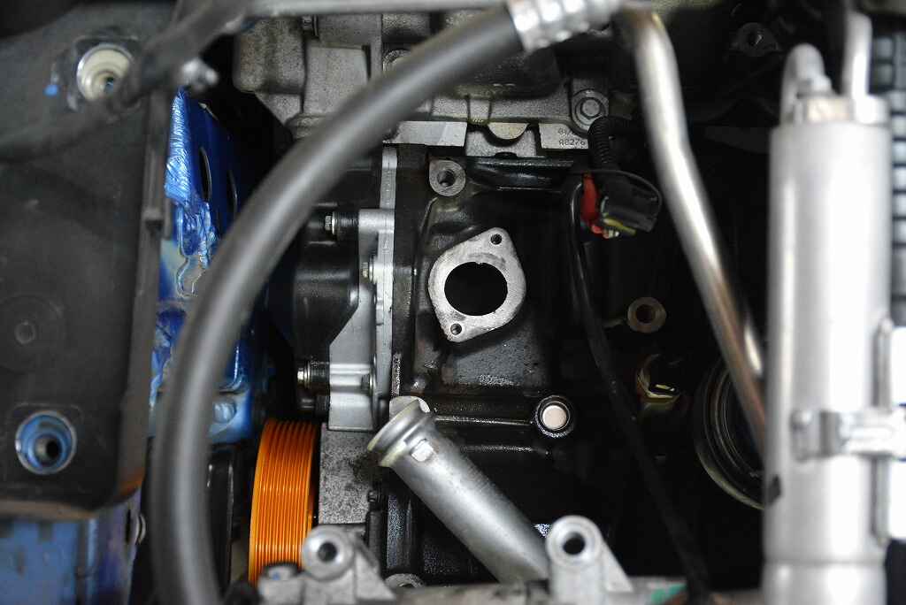 DSC_3296.jpg