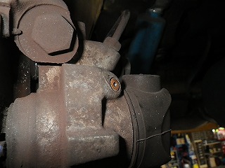 RIMG3263.jpg