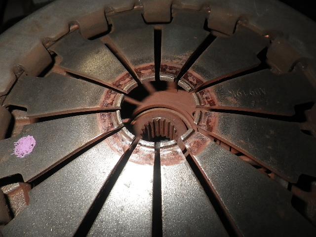 RIMG3349.jpg