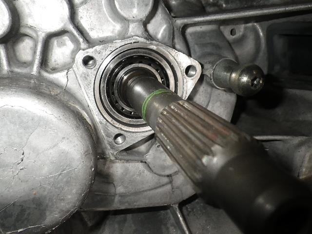 RIMG3623.jpg