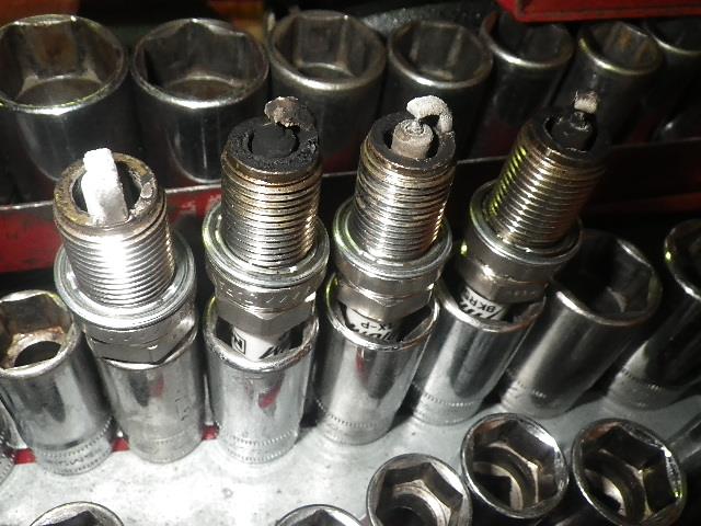 RIMG3989.jpg