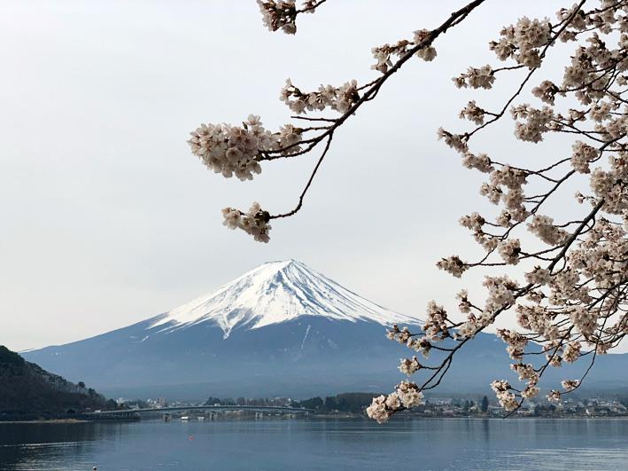 img_kawaguchiko.jpg