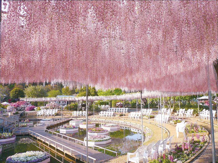lfspring_drive_vol4_01.png