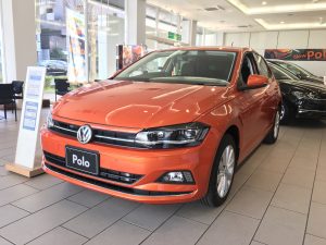 polo..-300x225.jpg