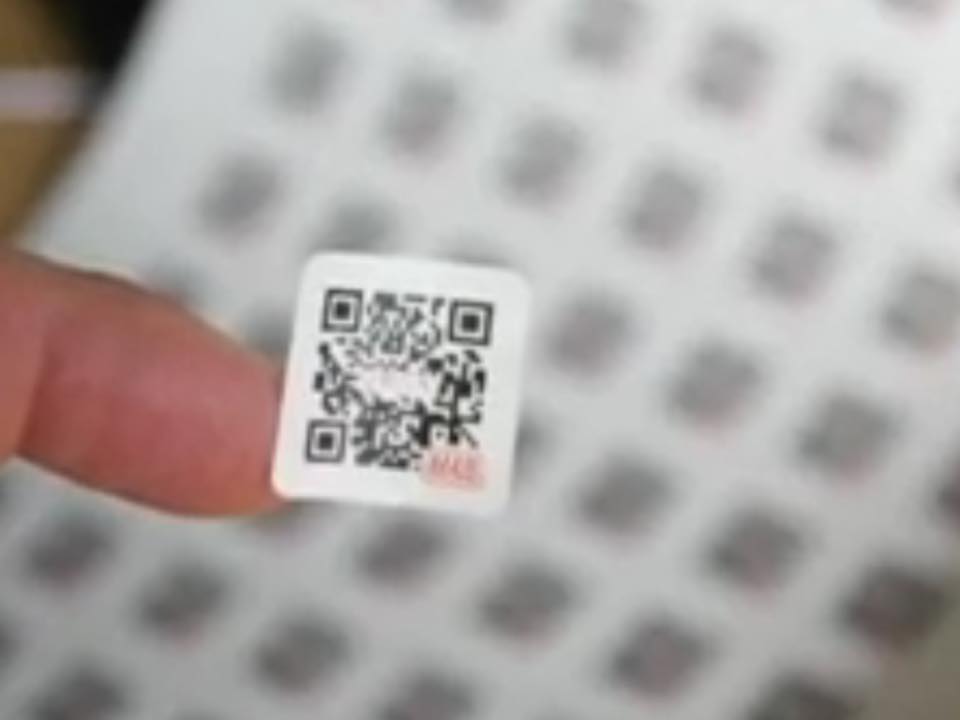 20258245_1443066289114658_2174016204955939341_n.jpg