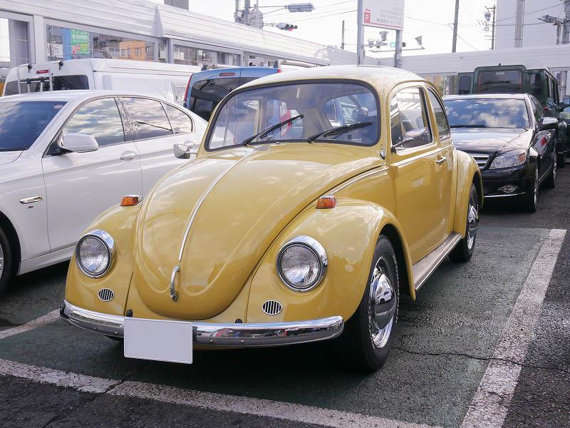P1250504-1.jpg