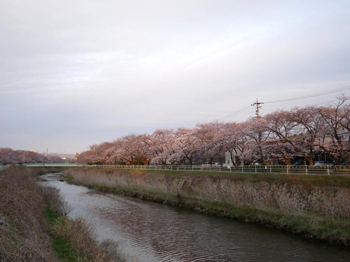 P1270677-700x525.jpg