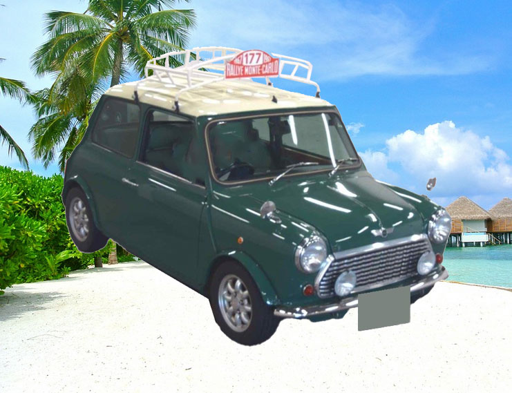 mini-img1.jpg