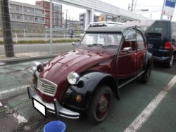 IMG_0131-250x188.jpg