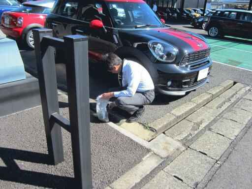 MINI 003-2-thumb-512x384-82965.jpg