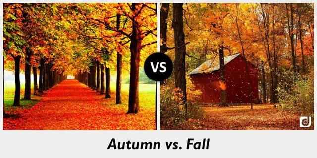autumn-vs-fall-810x405-thumb-640xauto-94529.jpg
