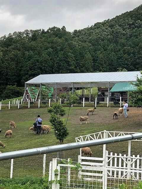 8898a5c003d4ac5a178f661cb6c1f66ddb8fa152 (2).jpg