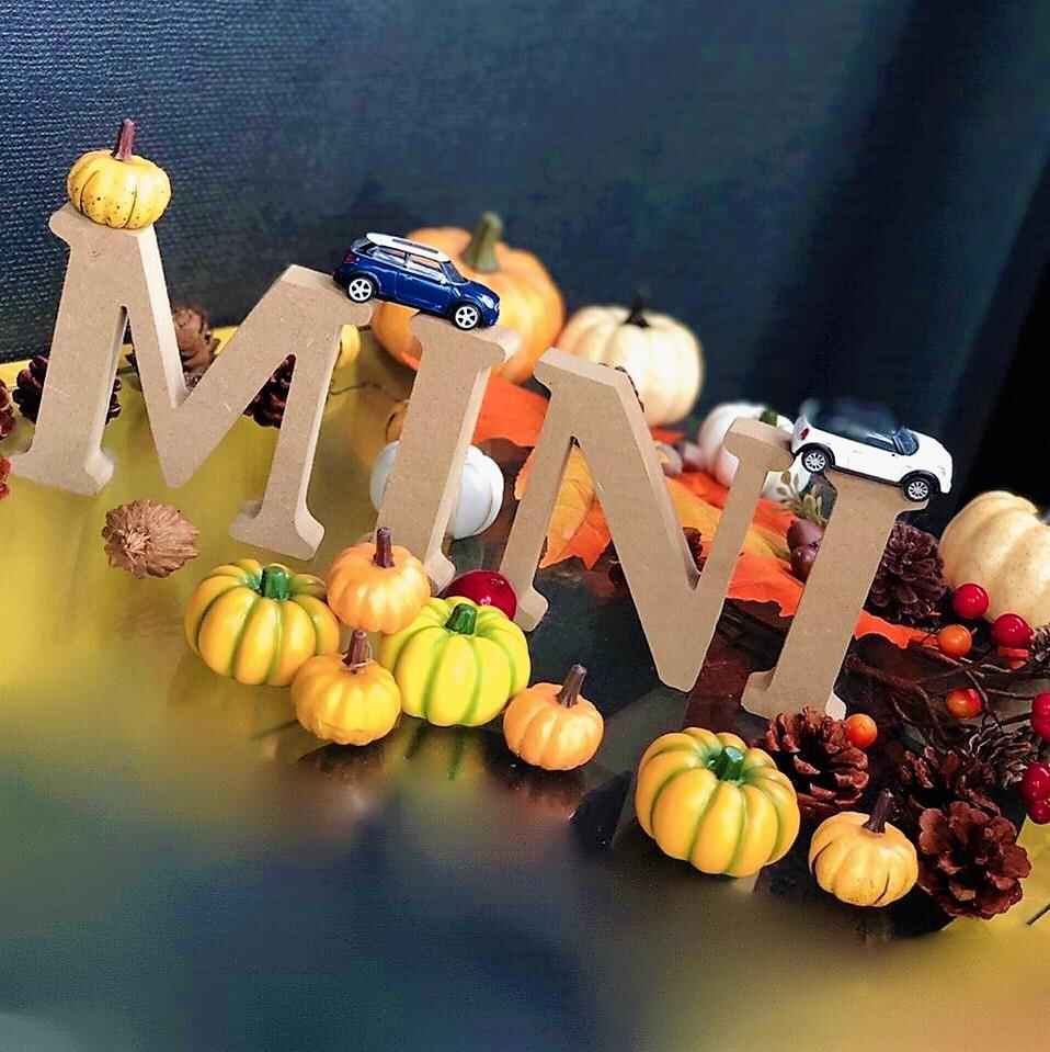 MINI SR HALLOWEEN (2).jpg