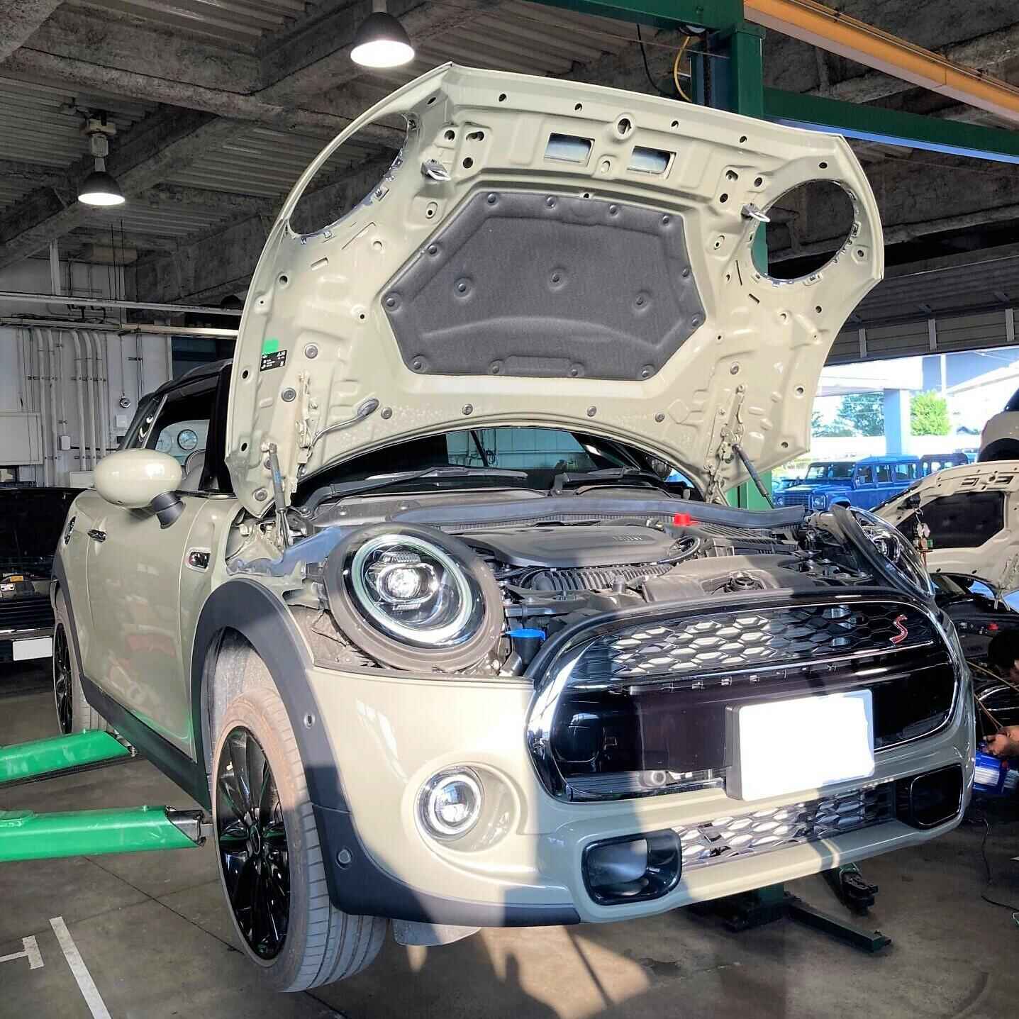 IMG_2175-1-1 (2).jpg