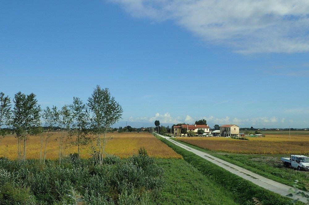 P9181490.jpg