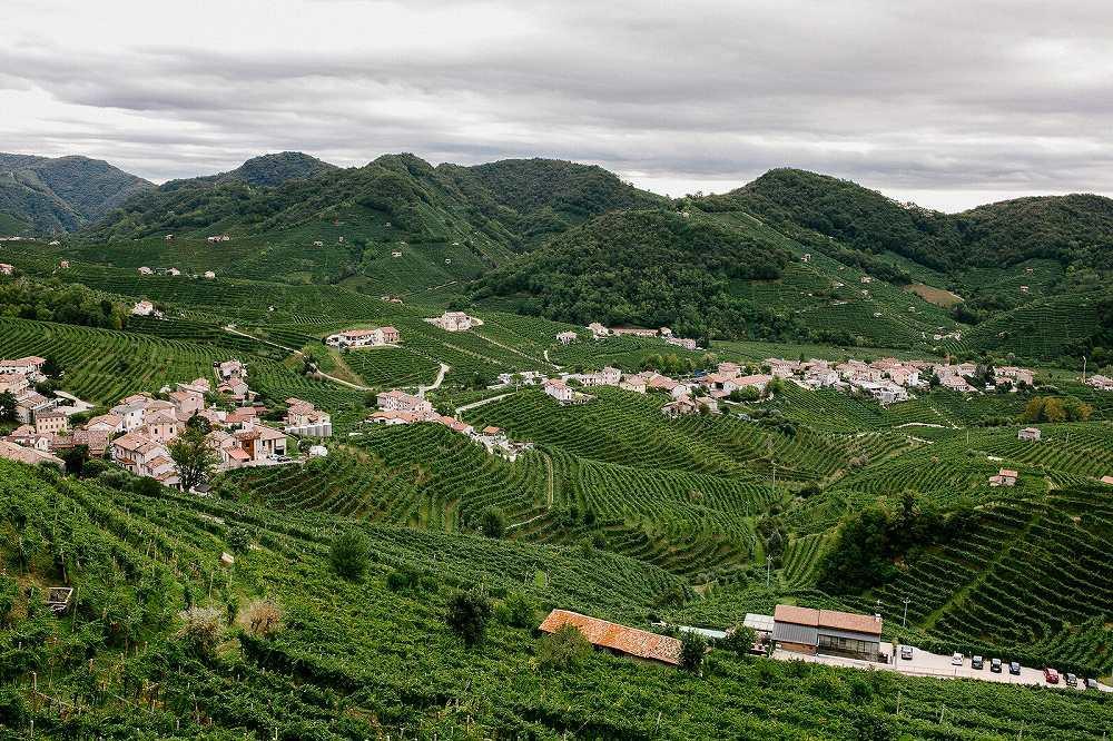 Iterigo-1.jpg