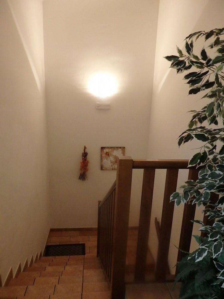 P9141264.jpg