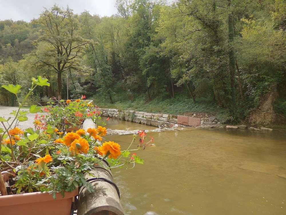 P9151489.jpg