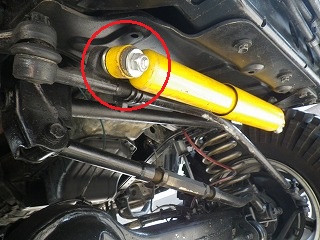 IMGP8911.jpg